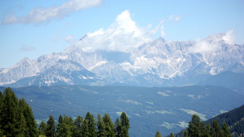 austria, alps, mountains, trees, 4k