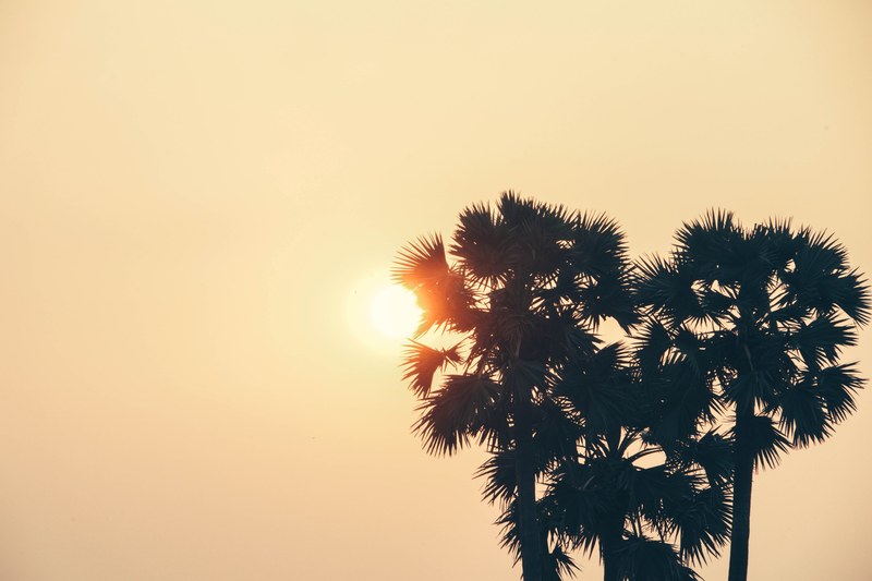 sunset in angkor 4k