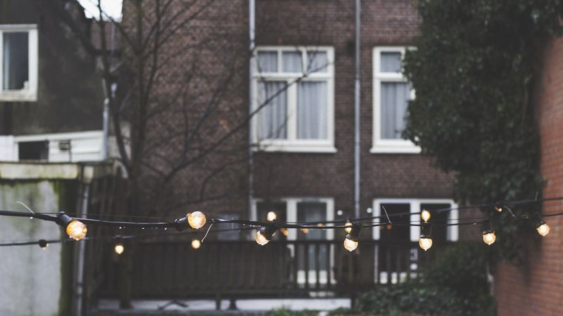 house, lights, windows, yard, 4k