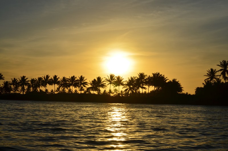 a yellow sky at sunset over the ocean with silhouettes of palm trees at brejo grande, yellow sunset 4k