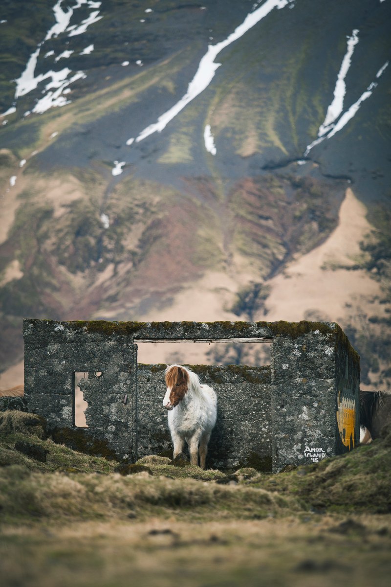 a horse near a stone structure at the bottom of a mountain, _wild horses of iceland 4k