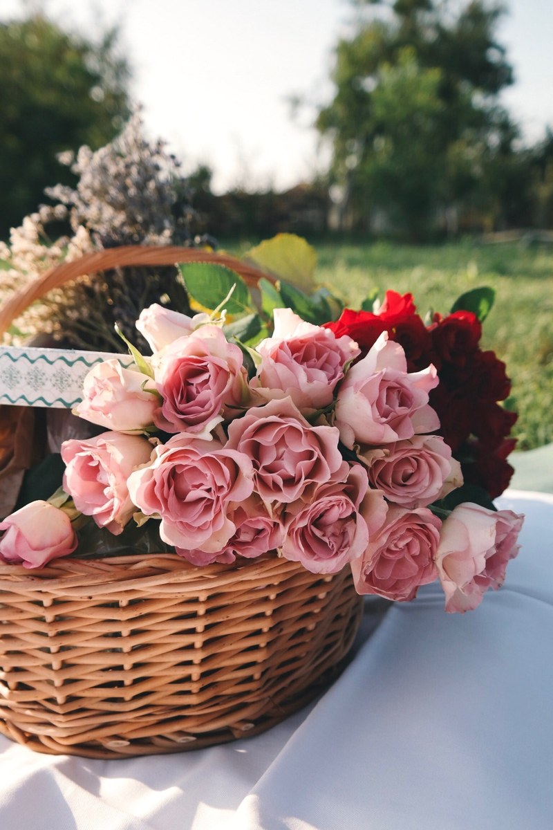 pink roses sitting inside a brown wicker basket, _basket with pink flowers 4k