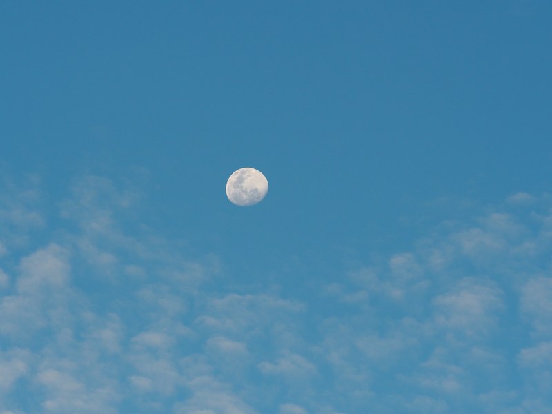 september moon 4k