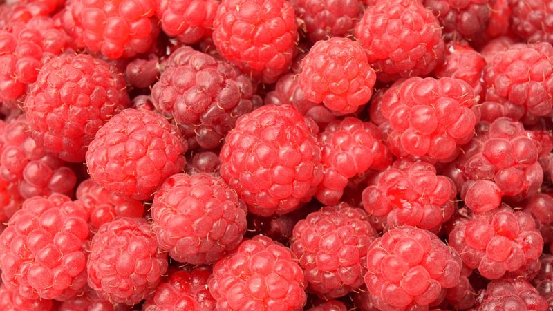 raspberry, berry, ripe, many, 4k