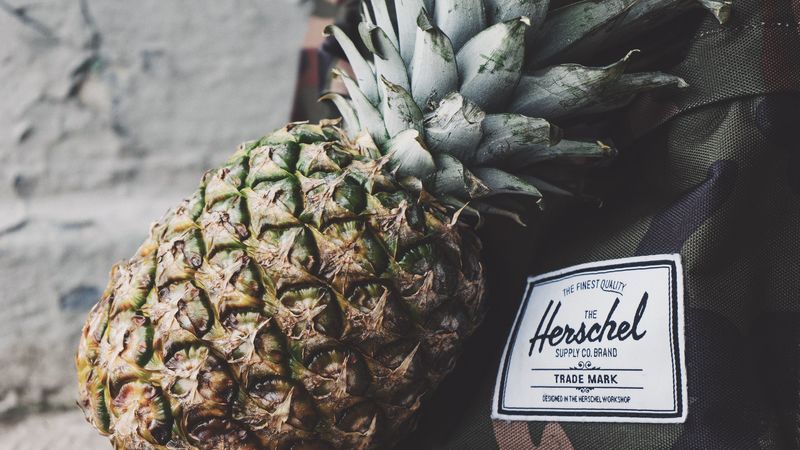 pineapple, fruit, ripe, label, 4k