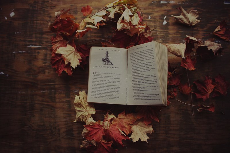 harry potter in autumn 4k