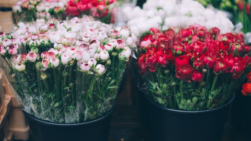 flowers, bouquets, blur, 4k