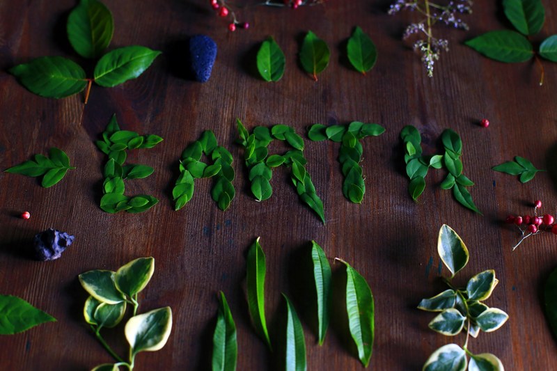 plants and leafs arranged to make earth text artwork on table in barcelona, earth lettering 4k