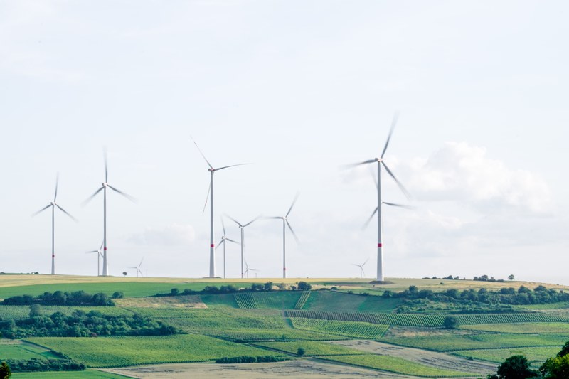 a group of wind turbines in a hilly landscape, _wine turbines 4k