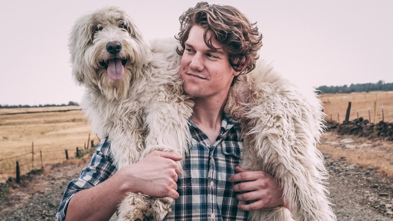 dog over shoulder man and dog pet and man 4k