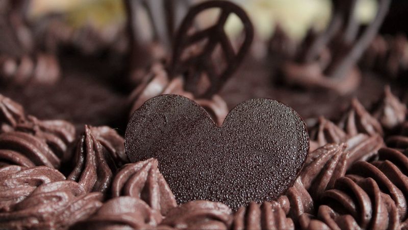cake, chocolate, cream, dessert, 4k
