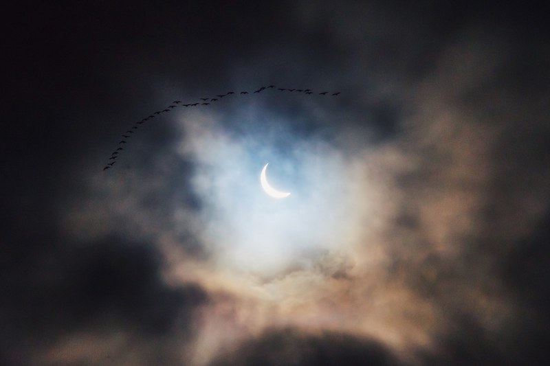 birds flying across the night sky with a crescent moon peeking between clouds, solar eclipse 4k