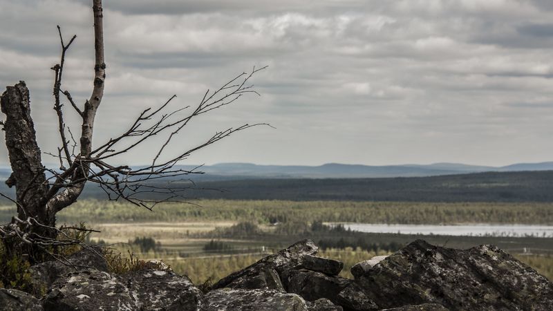 lapland, stones, wood, 4k