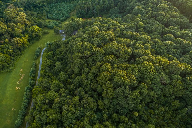 a drone shot of a road running along a green forest in knoxville tennessee, narrow road by the woods 4k