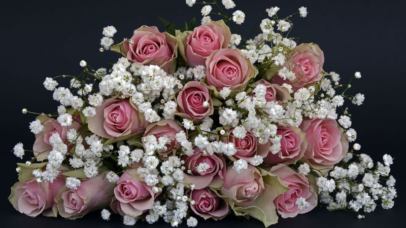roses, bouquet, decoration, 4k