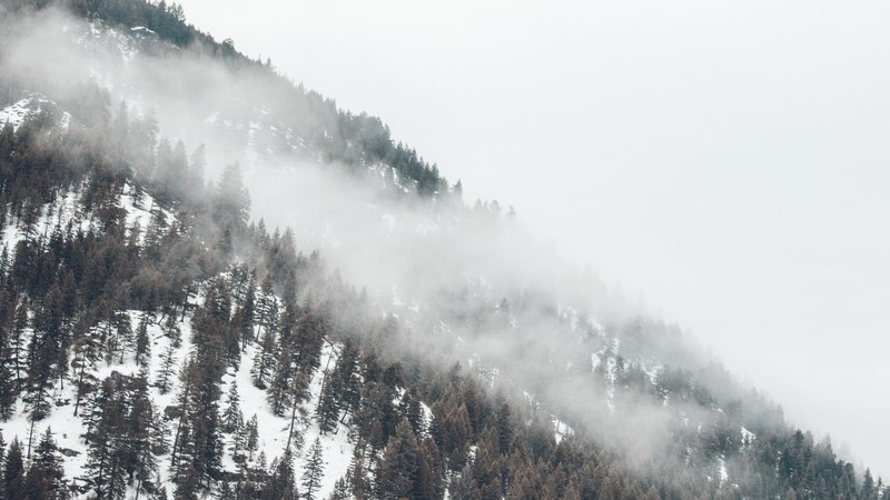 winter wilderness 06 4k