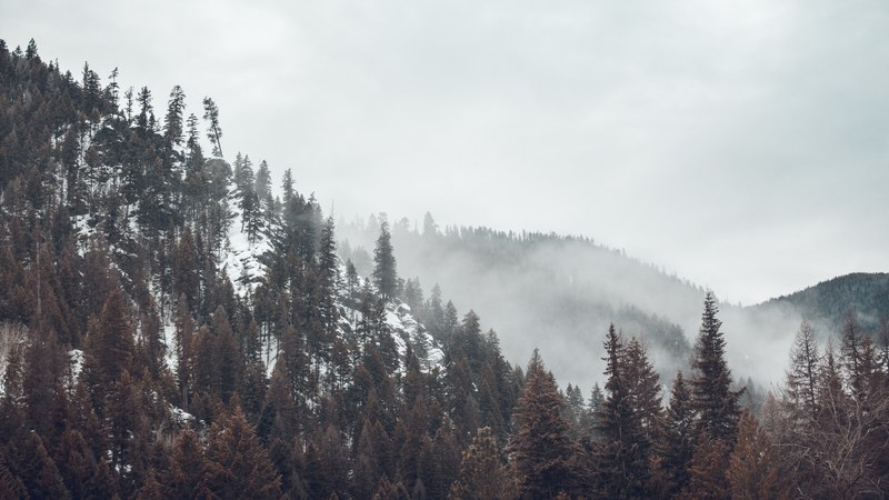 winter wilderness 07 4k
