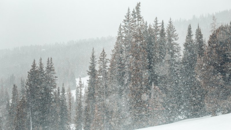 snowshoeing expedition 04 4k