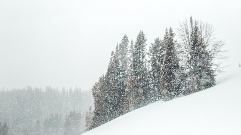 snowshoeing expedition 03 4k