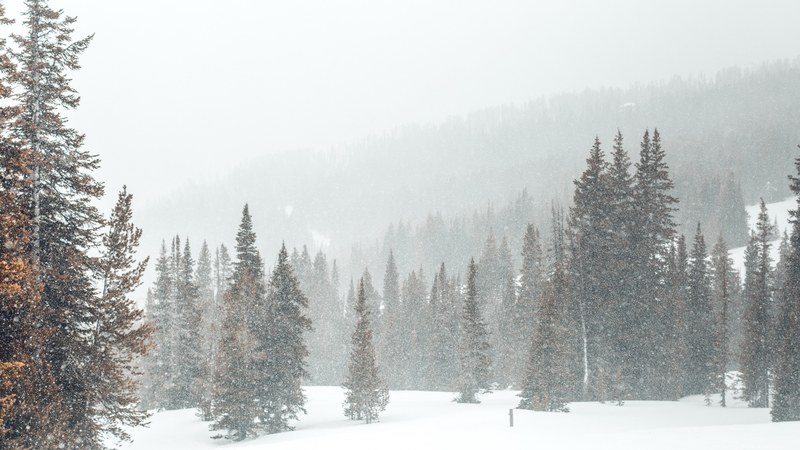 snowshoeing expedition 05 4k
