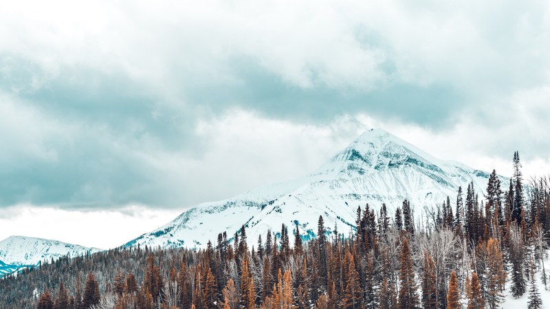 snowshoeing expedition 11 4k