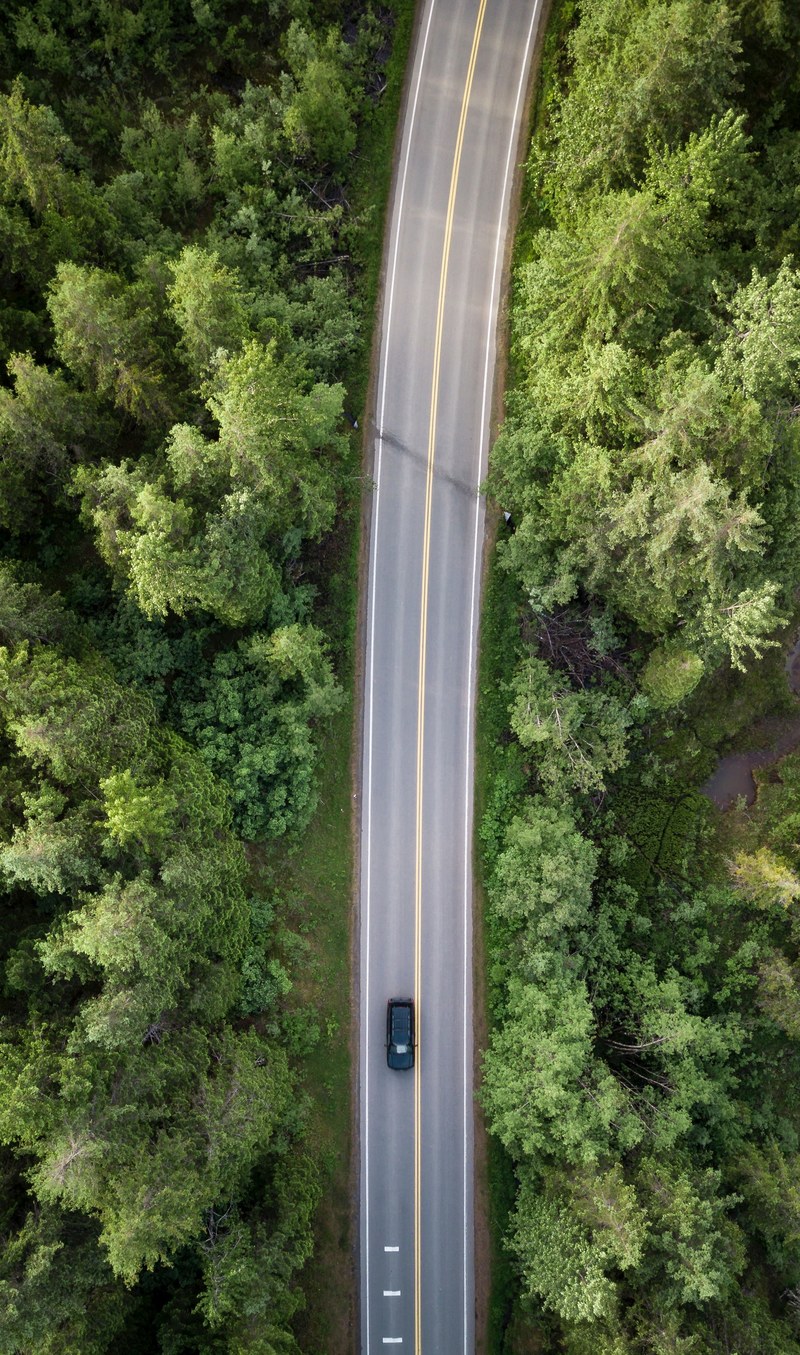 a drone shot of a black car on a tree lined road near juneau, road in alaska from above 4k