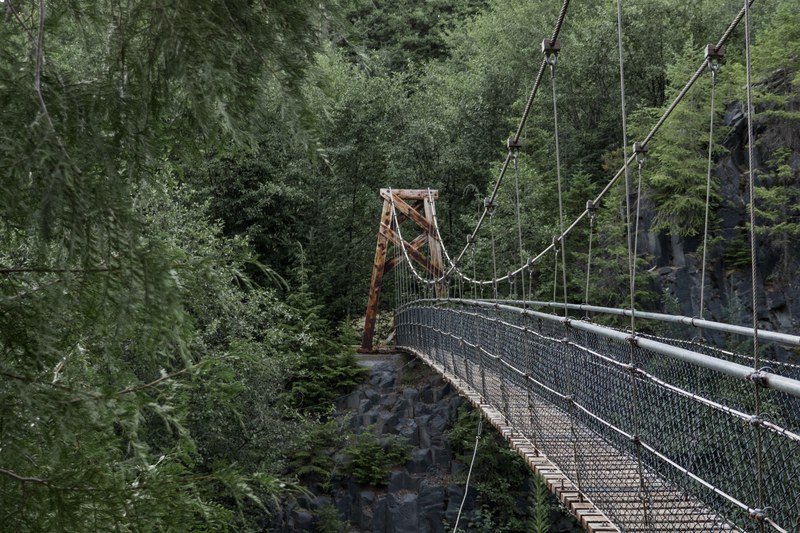 green discover northwest and pnw 4k