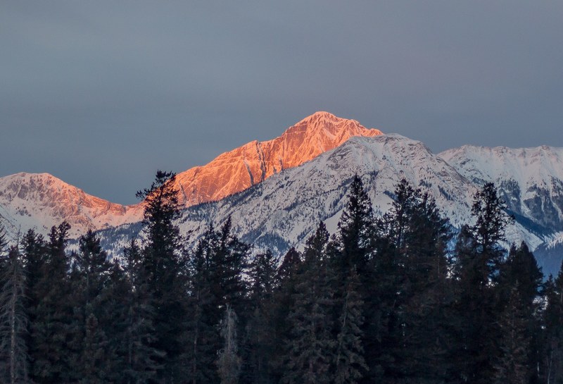 view on forest treeline with snowcapped mountains in the background one peak orange from the sun, sunset in the canadian rockies 4k