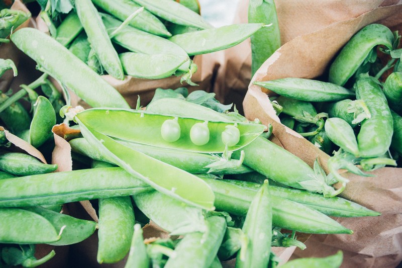 english green peas in a pod at the farmers market 4k