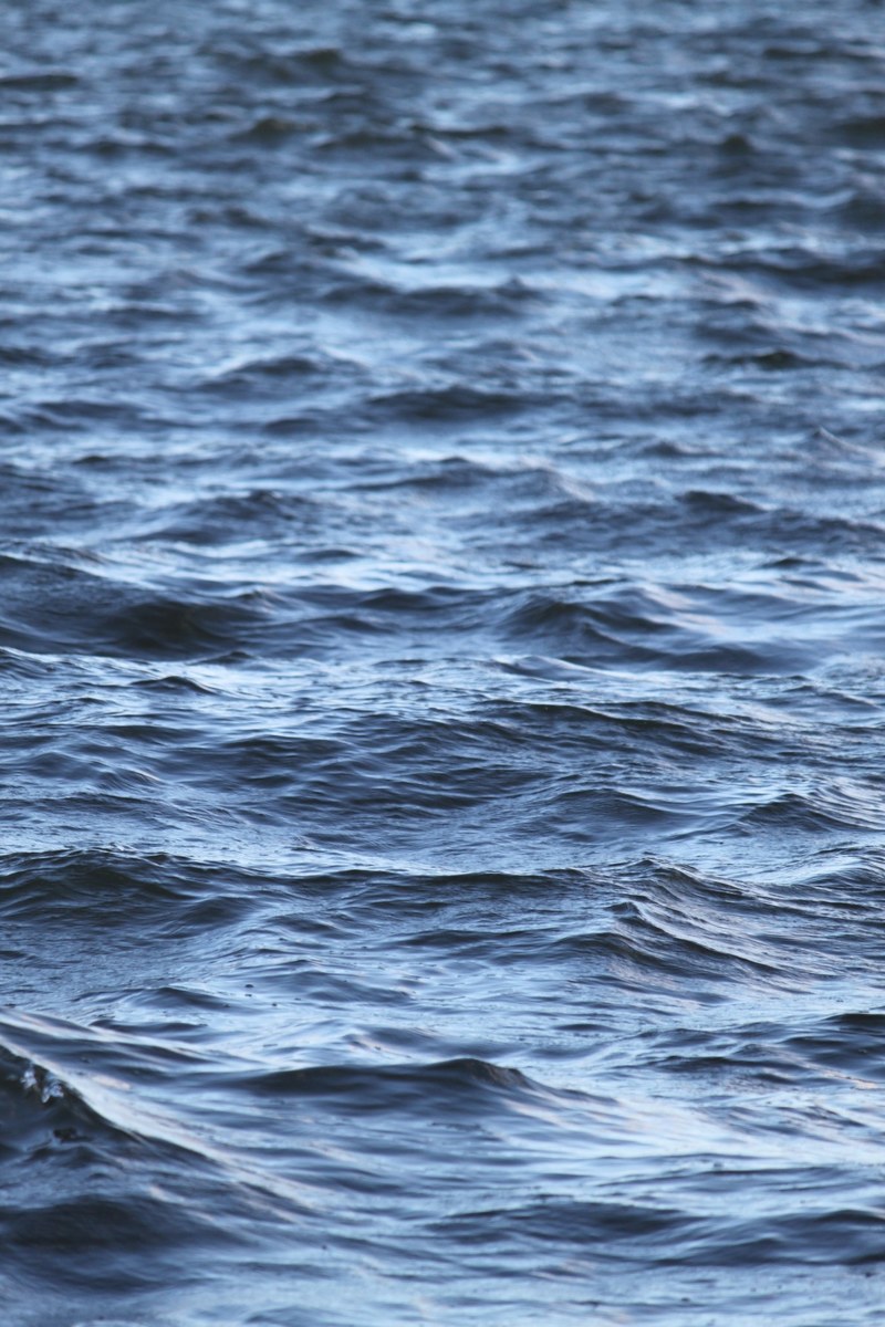 the sound of waves 4k