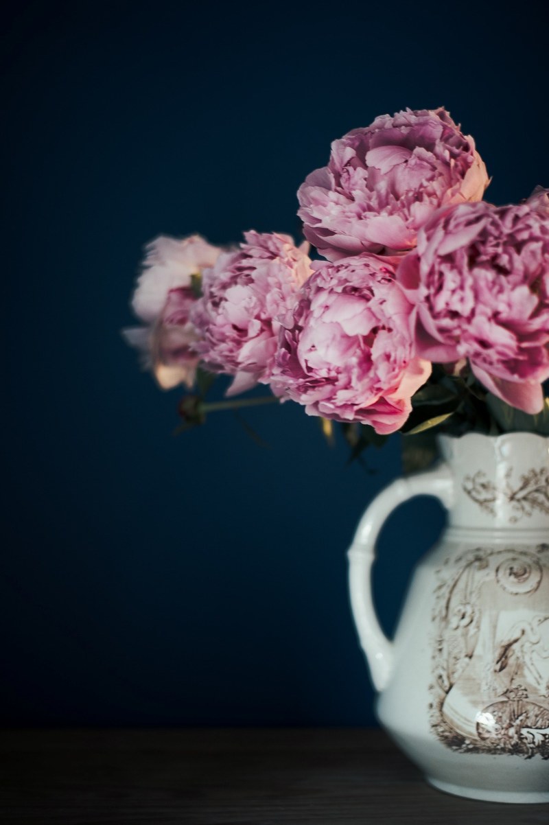 peony in vase 4k