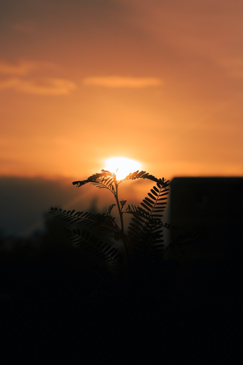 new day 4k