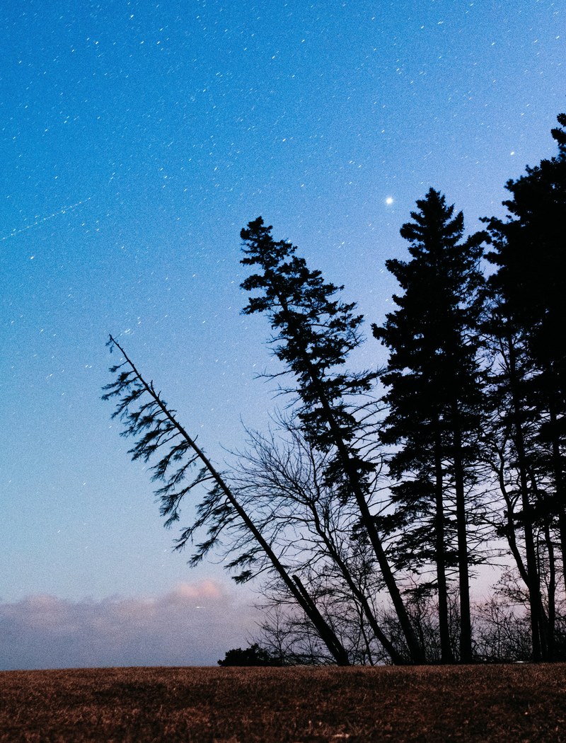 night skies 4k