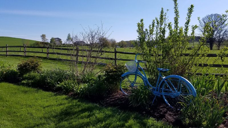 pasture, nature, meadow, grass, bike, 4k
