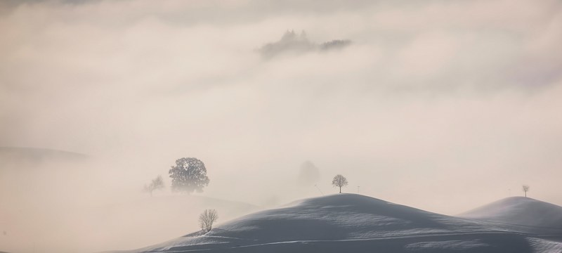 fog over rolling hills and isolated trees in hirzel, fog 383 4k