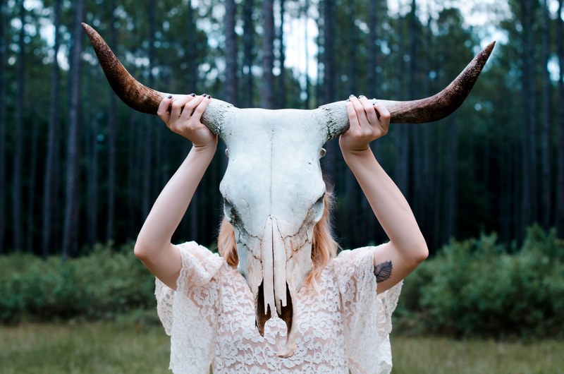 a woman in lace shirt holding up a bovine skull against a forest background, massive bovine skull 4k