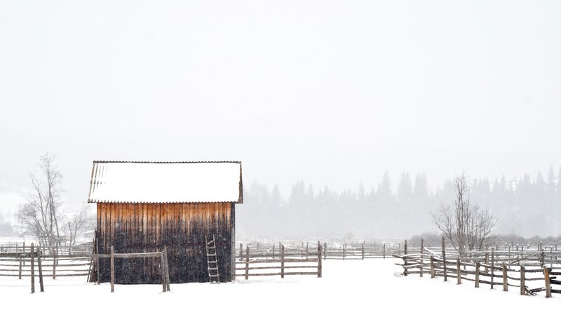 a snow covered barn stands tall on a farm during winter, snow covered barn in wintertime 4k