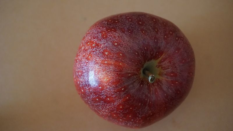 apple, fruit, drop, close-up, 4k