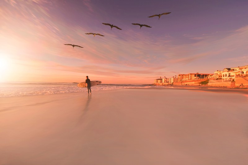 surfer on a sandy beach beneath a flock of birds during sunset in san diego, surfer and gulls at sunset 4k