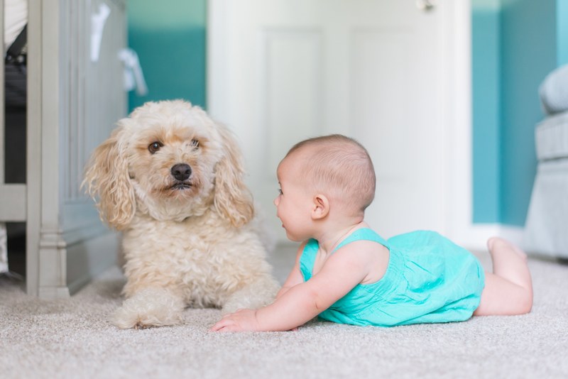 a baby on her belly next to a cute puppy, _baby girl and her puppy 4k