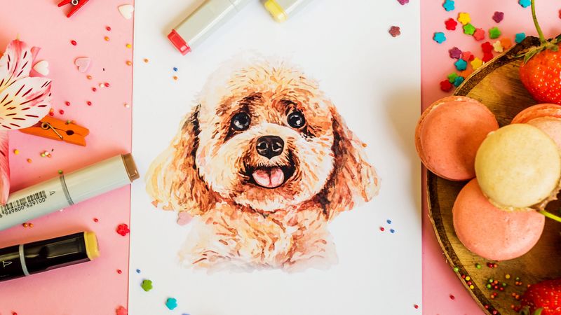 drawing, dog, confetti, 4k