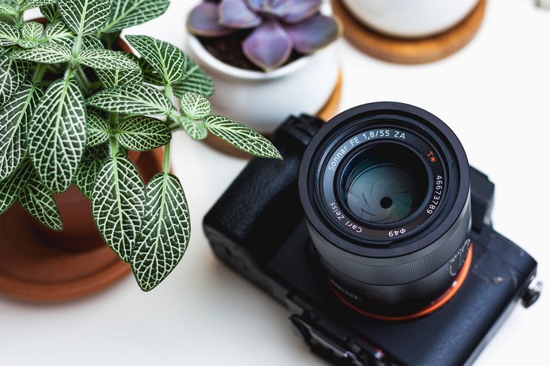 camera lens plant and leaf 4k