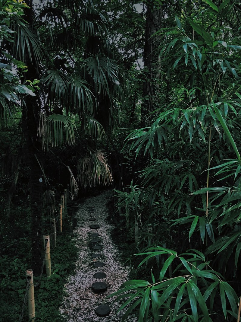 botanical garden 4k