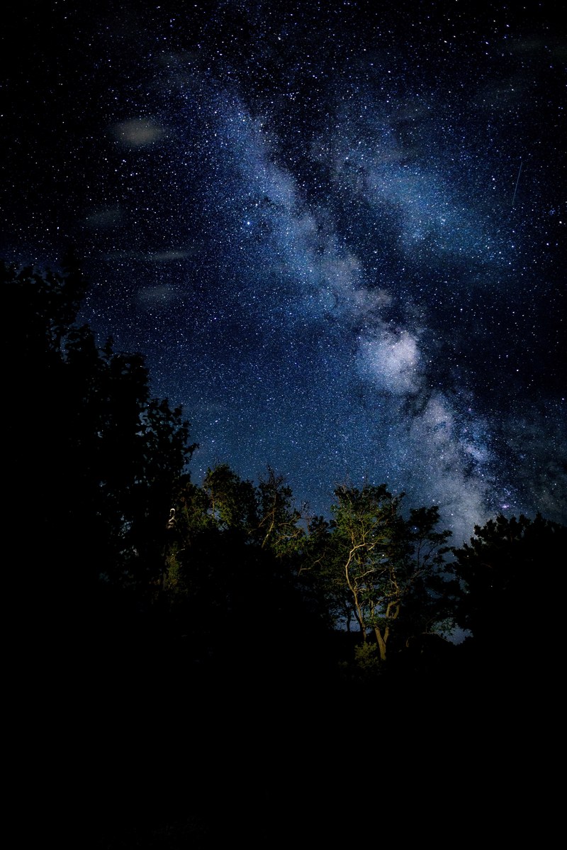 the lighted forest against the dark blue night sky with many stars and the milky way, stepping back 4k