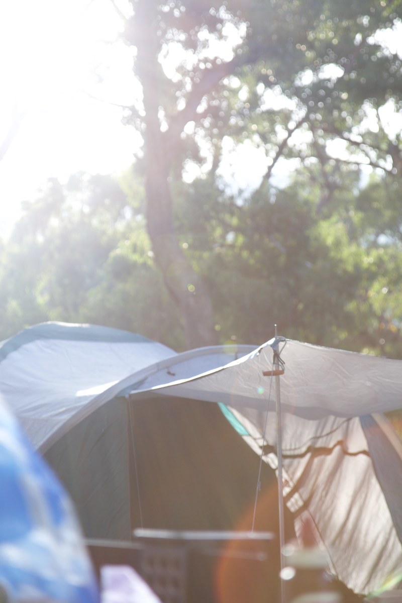 tent camping canvs and mountain tent hd, 4k