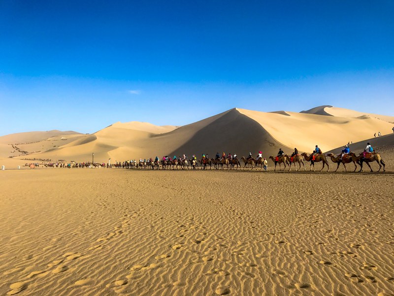 silk road 4k