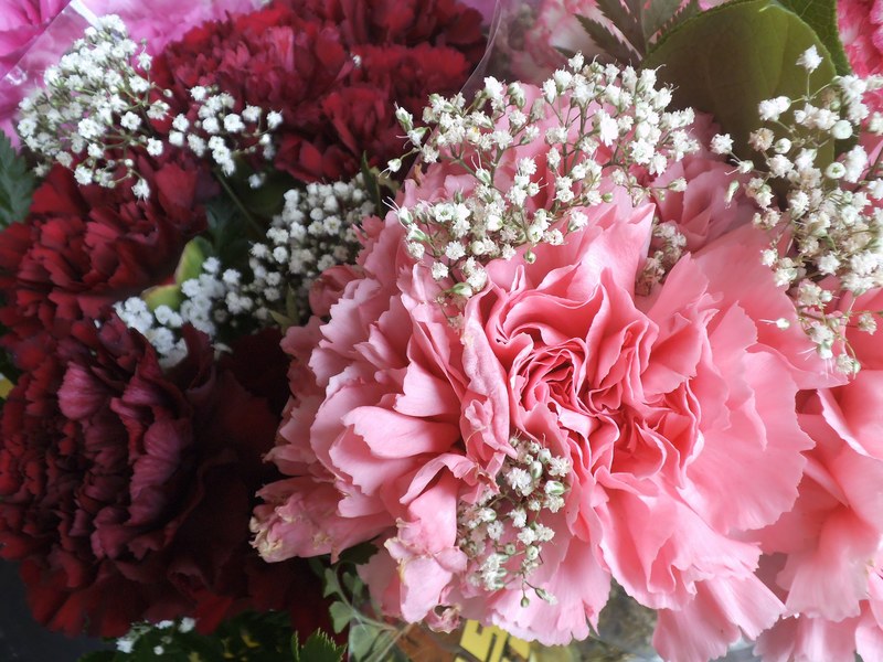 macro of red and pink carnations in a floral bouquet with white babys breath flowers, romantic bouquet 4k