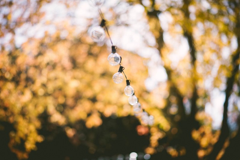 lights fairy lights tree and bulbs 4k