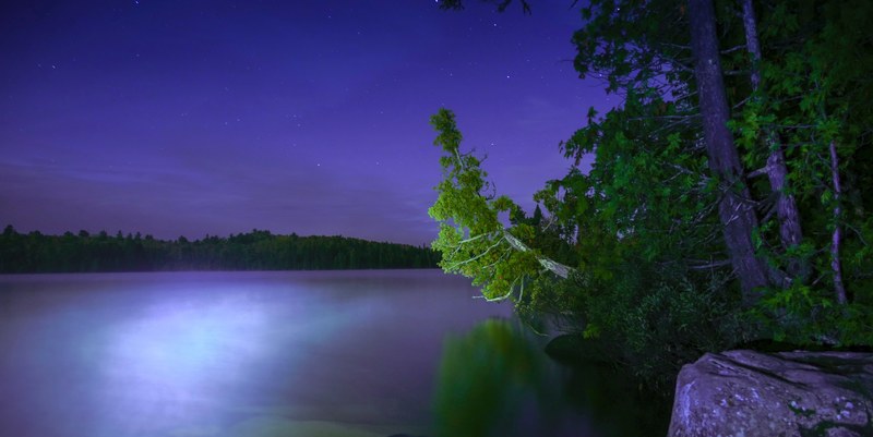 night dreams 4k