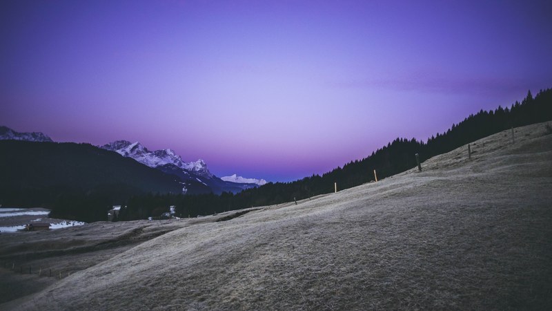 purple mornings 4k